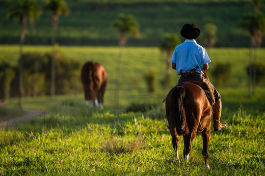 Les Gauchos : Héros ou Bandits ? L'Héritage Complexe des Cowboys Iconiques d'Argentine